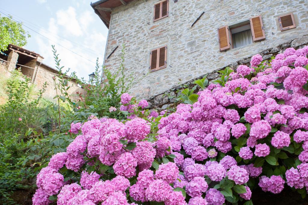 Il Borgo Dei Corsi - Charming Ortignano Raggiolo